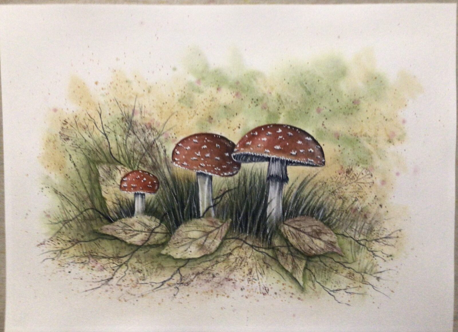 Autumn Toadstools