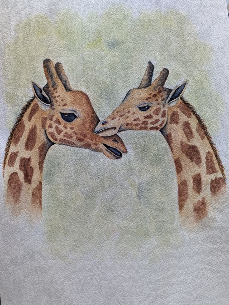 Mother & baby giraffe