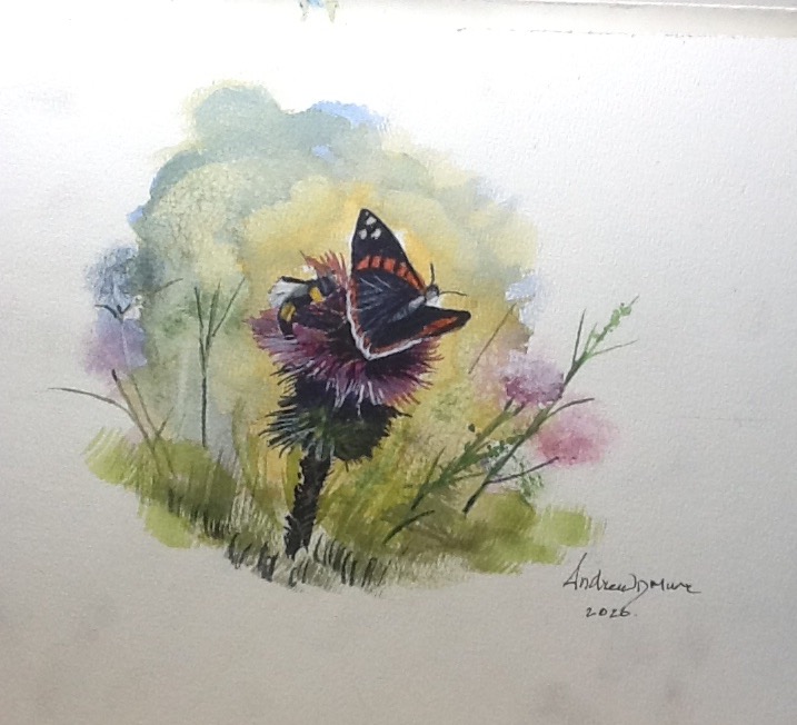 Bumblebee,Red Admiral on a Thistle.
