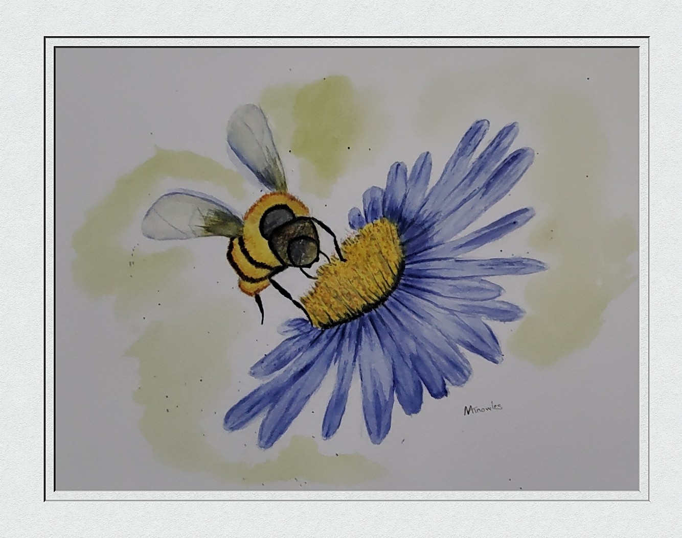 The Bee an Aster Flower
