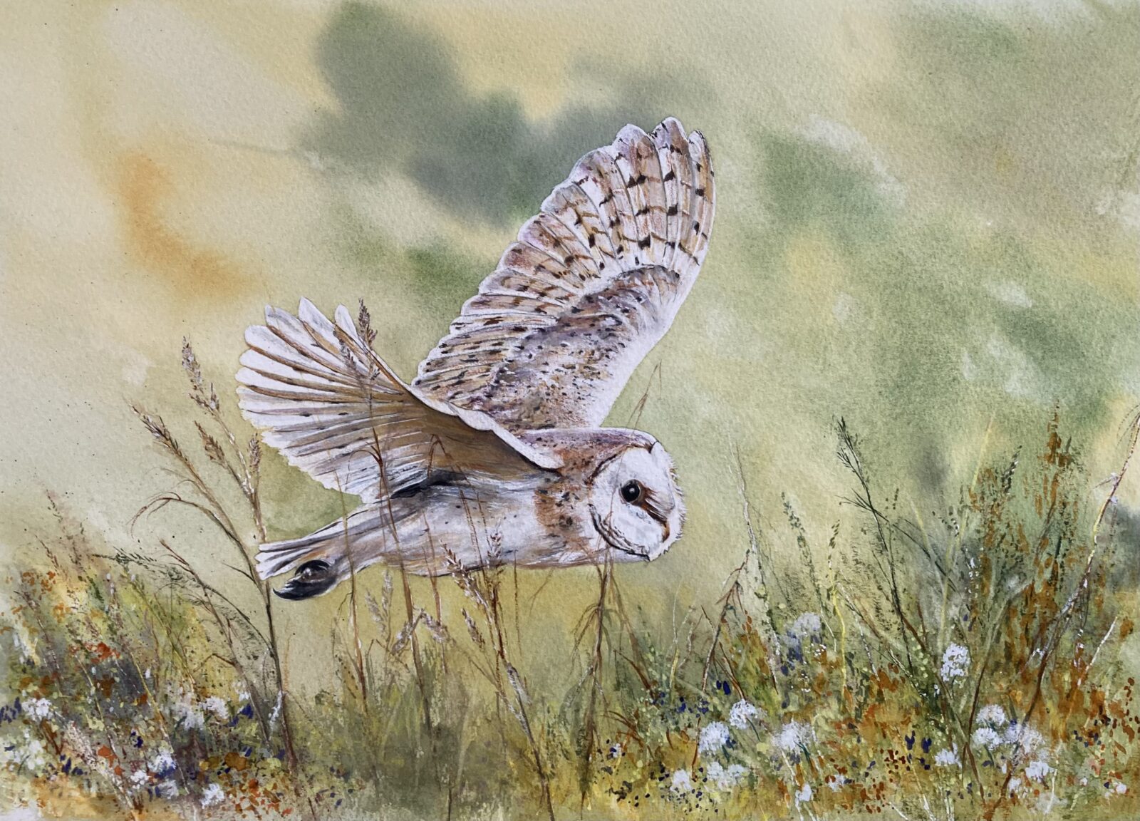 Silent Flight Across The Meadow