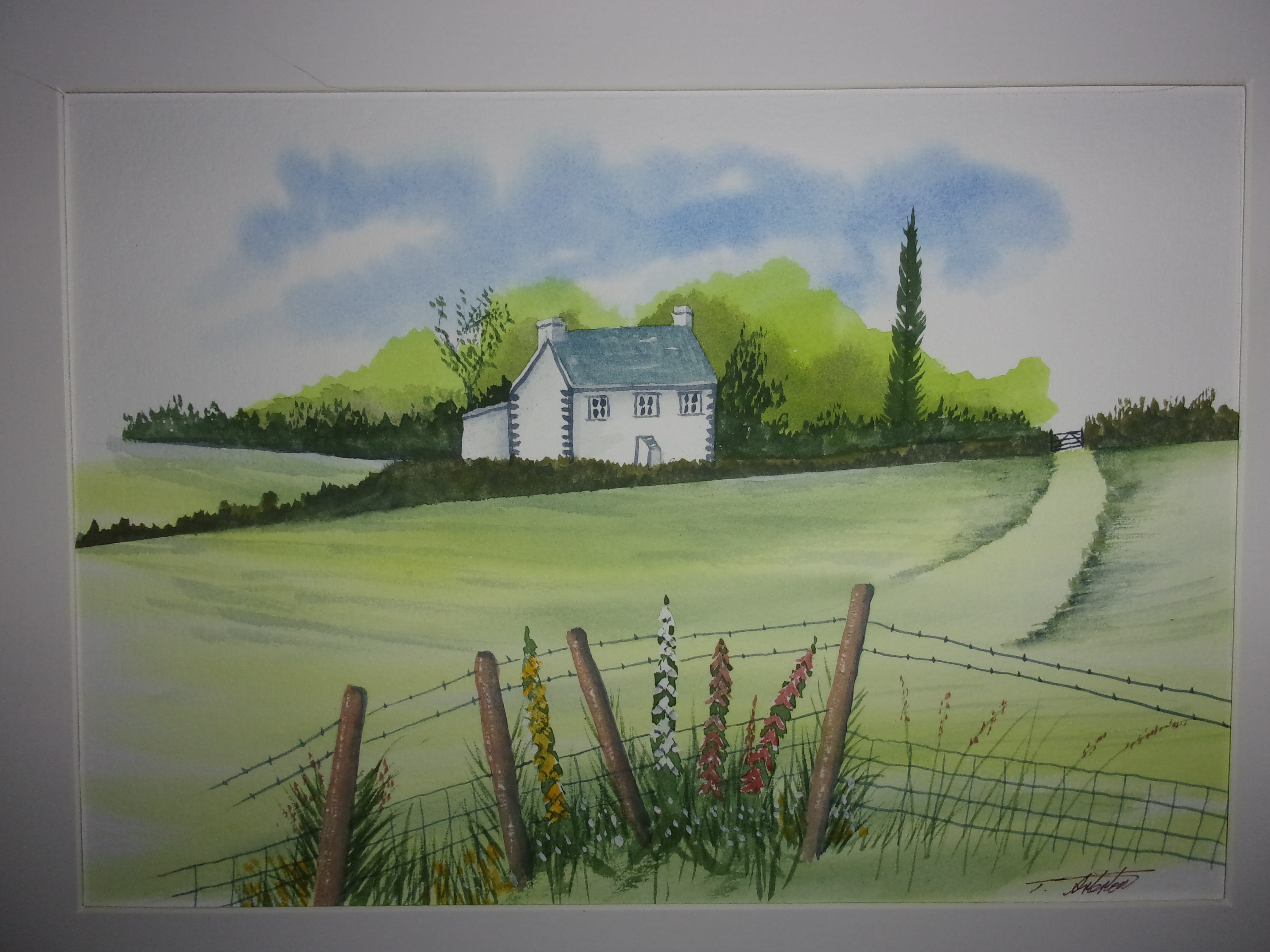 Cottage