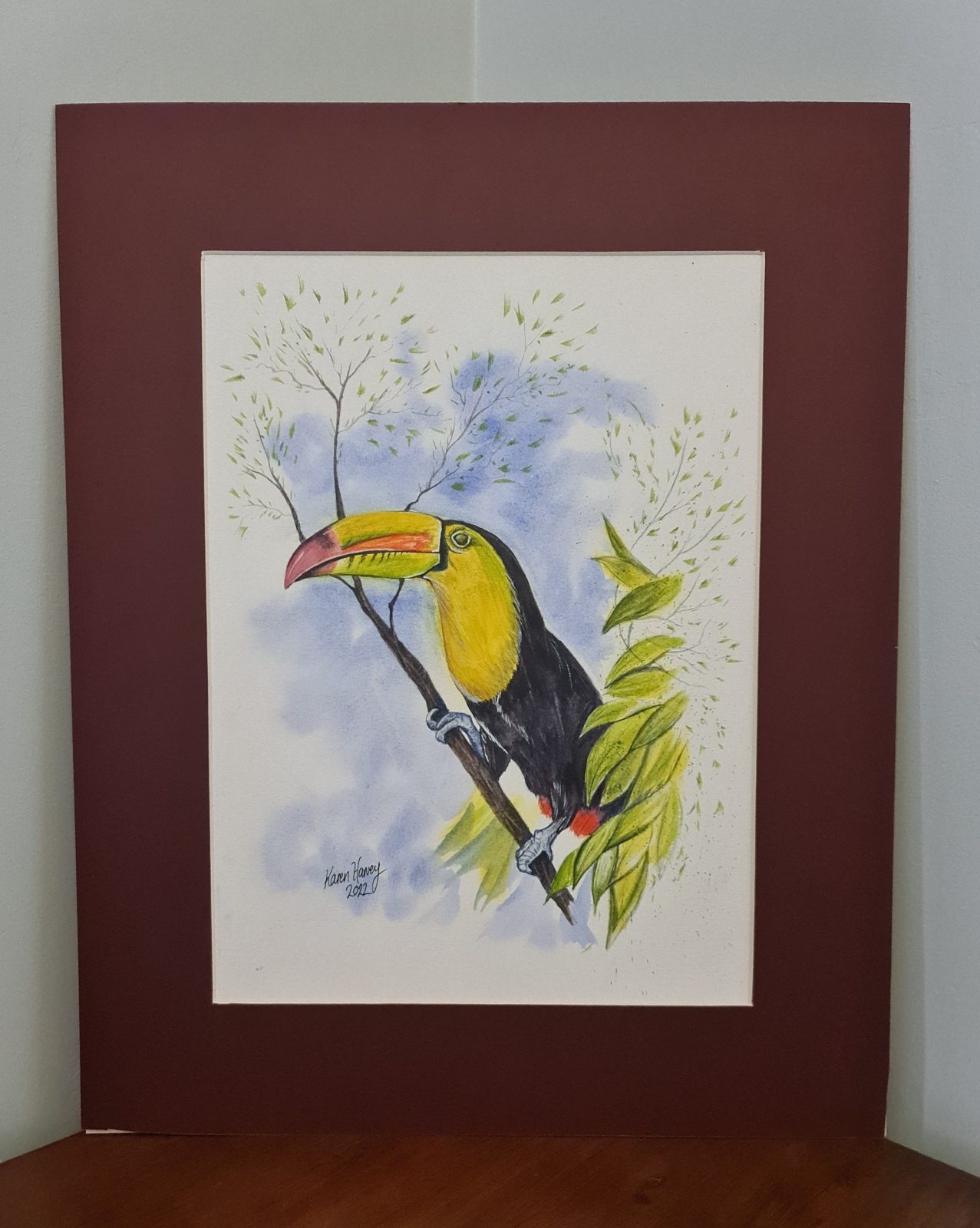 Guiness the Toucan
