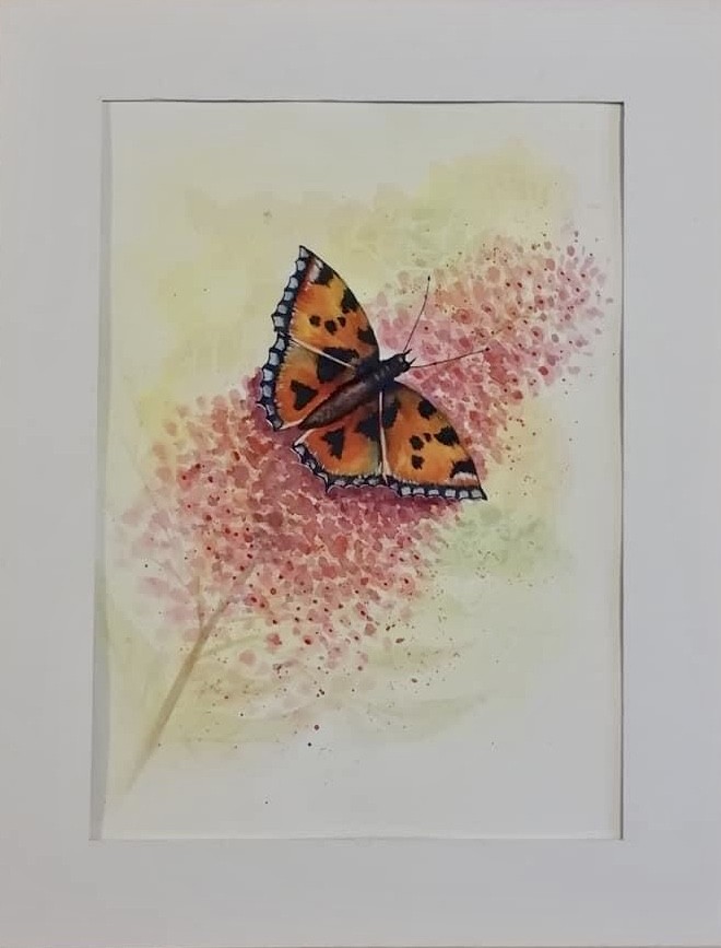 Butterfly on Flowers