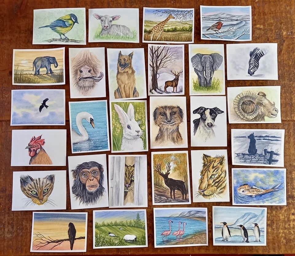 30 Minute animal paintings