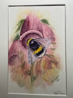 Bumblebee in foxglove