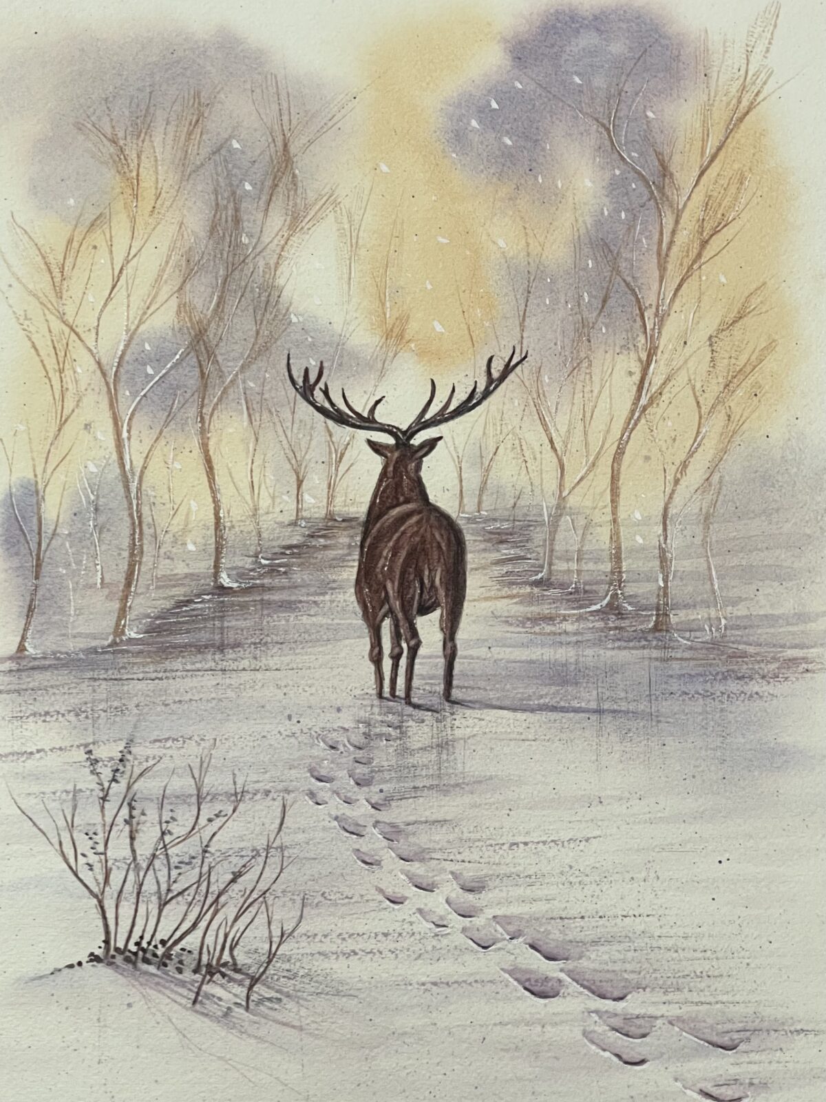 Winter Stag