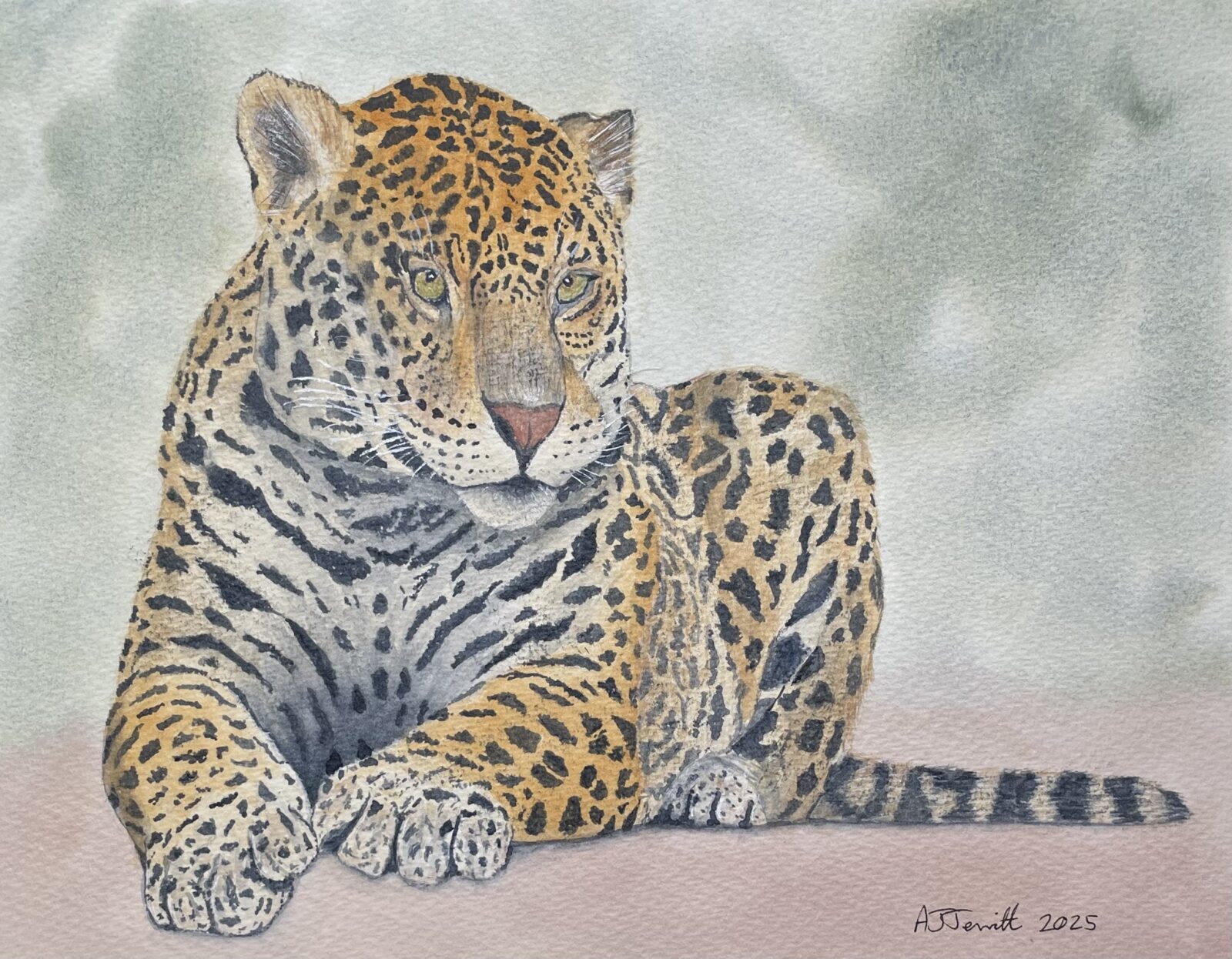 Leopard