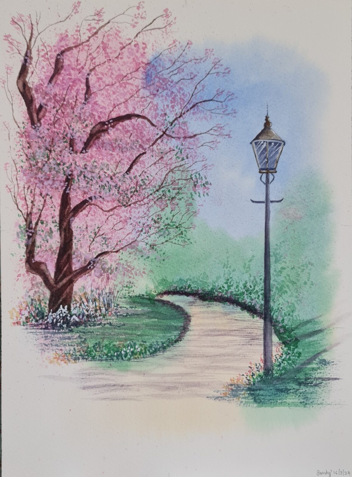 Cherry Blossom