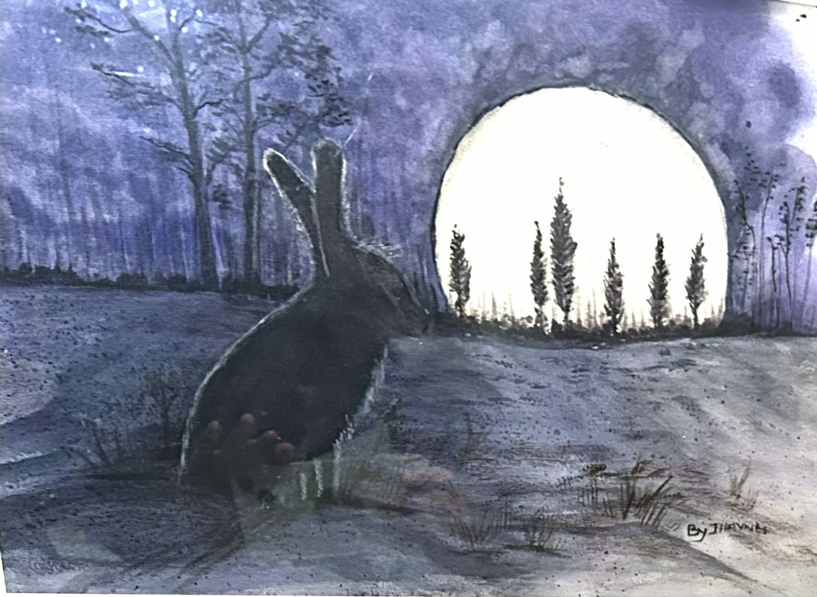 Hare in Moonlight