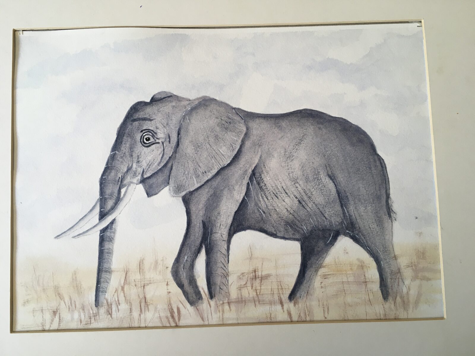 Elephant