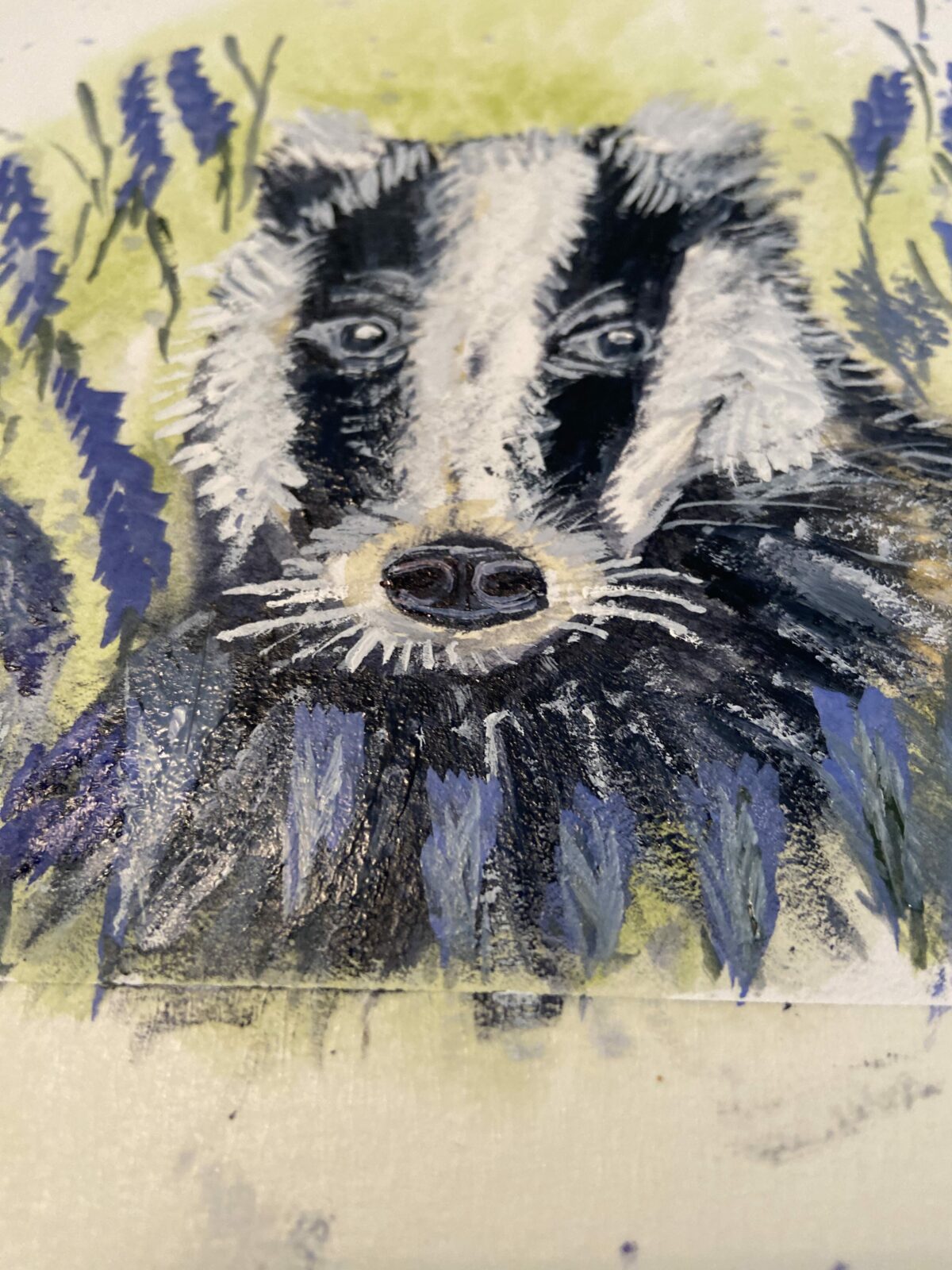 Badger