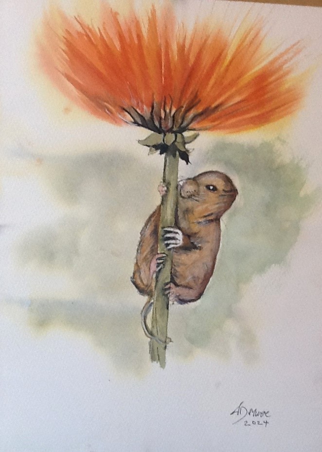 Field mouse