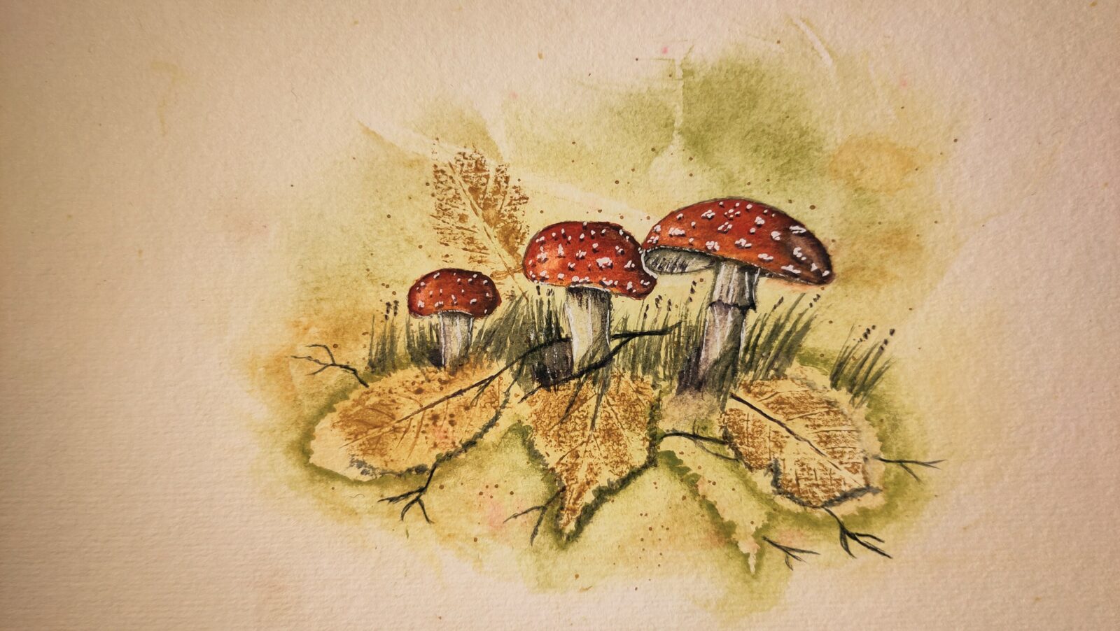 Toadstools