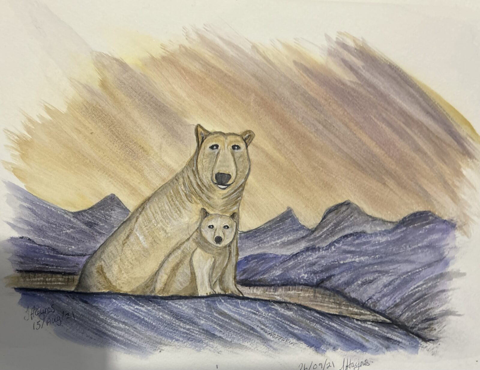 Polar Bears on ice