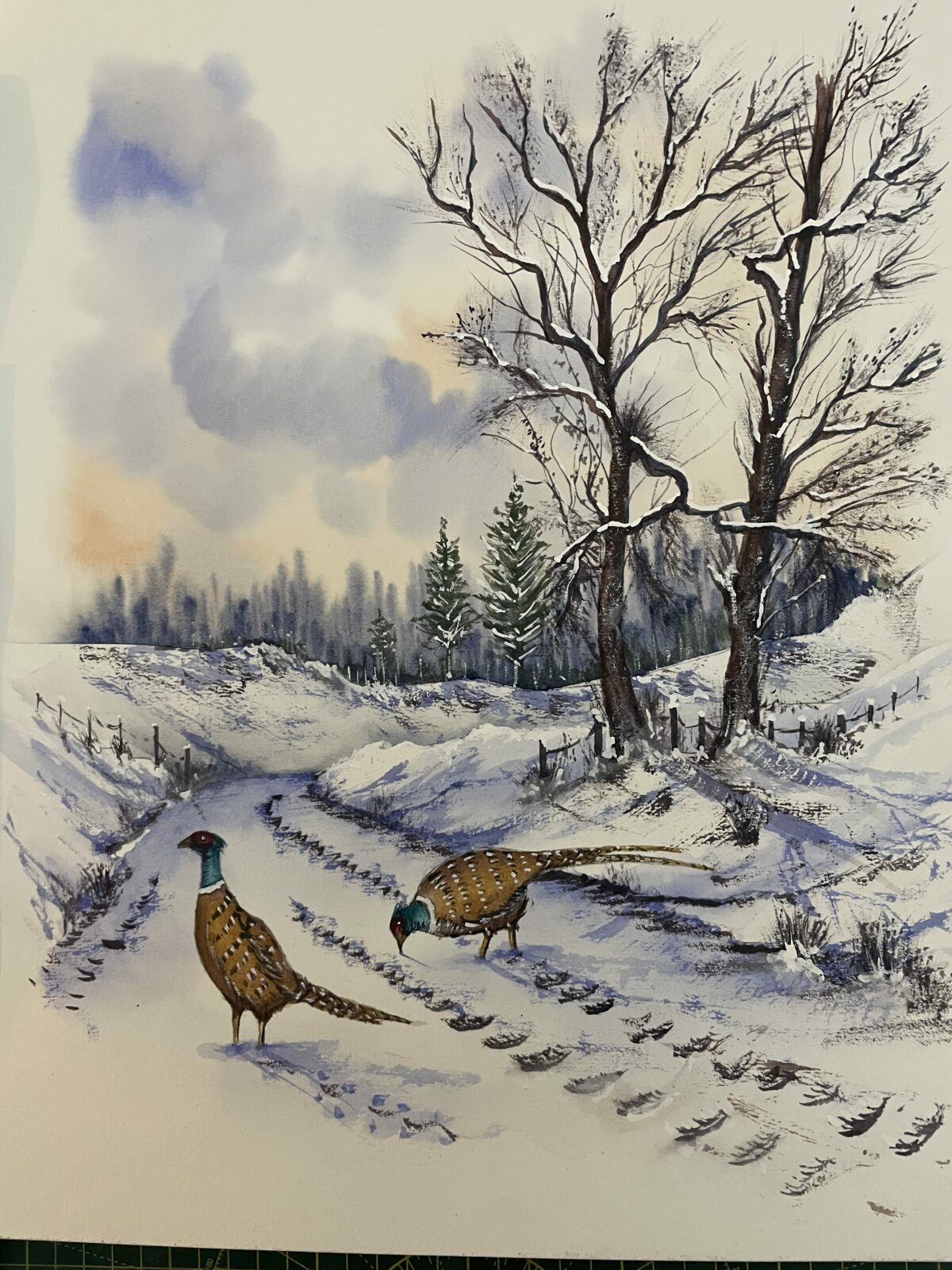 Pheasants in a winter woodland