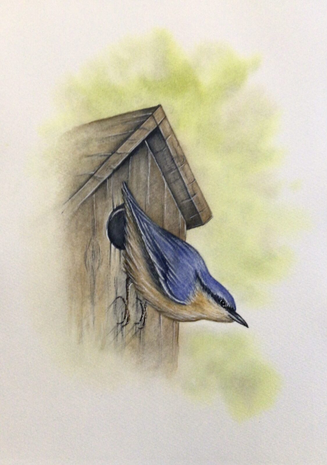 Nuthatch On Birdhouse