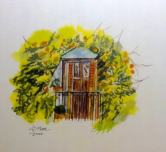 Orange Tree